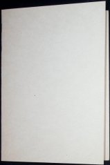 Portrét Alfonse Muchy, ocelorytina J. Schmidta